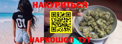 гидра Новоалександровск