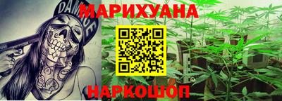 гашик Ноябрьск