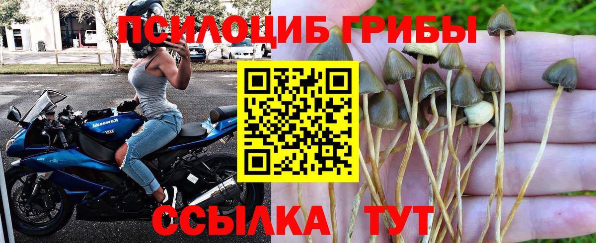 Галлюциногенные грибы прущие грибы Лангепас